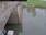 Live Camera Feed at North Drain Pumping Station