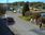 Live Camera Feed at Kingholm Quay
