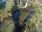 Live Camera Feed at North Cave - Wold Hill
