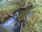 Live Camera Feed at North Cave - Wold Hill