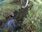 Live Camera Feed at North Cave - Wold Hill