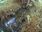 Live Camera Feed at North Cave - Wold Hill