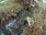 Live Camera Feed at North Cave - Wold Hill