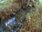 Live Camera Feed at North Cave - Wold Hill