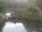 Live Camera Feed at Wyre Piddle