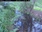 Live Camera Feed at Allerford