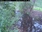 Live Camera Feed at Allerford