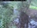 Live Camera Feed at Allerford