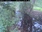 Live Camera Feed at Allerford
