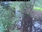 Live Camera Feed at Allerford