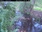 Live Camera Feed at Allerford