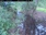 Live Camera Feed at Allerford