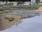 Live Camera Feed at Bude Weir