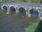 Live Camera Feed at Dulverton