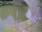 Live Camera Feed at Bathford