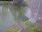 Live Camera Feed at Bathford