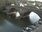 Live Camera Feed at Bewdley - Severnside North