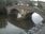 Live Camera Feed at Bewdley - Severnside North