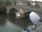 Live Camera Feed at Bewdley - Severnside North