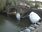 Live Camera Feed at Bewdley - Severnside North