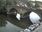 Live Camera Feed at Bewdley - Severnside North