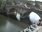 Live Camera Feed at Bewdley - Severnside North
