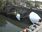 Live Camera Feed at Bewdley - Severnside North