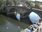 Live Camera Feed at Bewdley - Severnside North