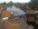 Live Camera Feed at Bevere Lock