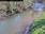 Live Camera Feed at Bishops Hull