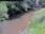 Live Camera Feed at Bishops Hull