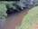 Live Camera Feed at Bishops Hull