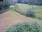 Live Camera Feed at Bodmin -  St Petrocs Well
