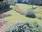 Live Camera Feed at Bodmin -  St Petrocs Well