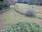 Live Camera Feed at Bodmin -  St Petrocs Well