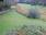 Live Camera Feed at Bodmin -  St Petrocs Well