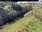 Live Camera Feed at Bridgerule