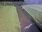 Live Camera Feed at Coney Gut