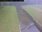 Live Camera Feed at Coney Gut
