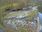 Live Camera Feed at Dulverton Weir