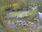 Live Camera Feed at Dulverton Weir