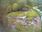 Live Camera Feed at Dulverton Weir