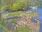 Live Camera Feed at Dulverton Weir