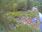 Live Camera Feed at Dulverton Weir