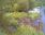 Live Camera Feed at Dulverton Weir