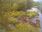 Live Camera Feed at Dulverton Weir