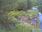 Live Camera Feed at Dulverton Weir