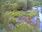 Live Camera Feed at Dulverton Weir