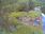 Live Camera Feed at Dulverton Weir