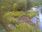 Live Camera Feed at Dulverton Weir